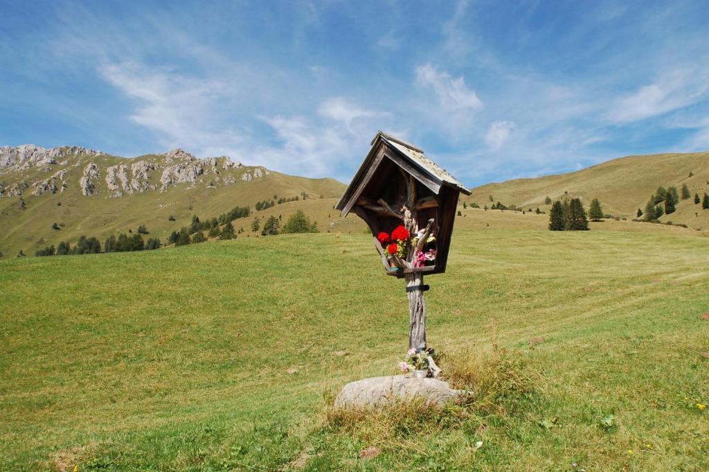Cimon Dolomites Hotel Predazzo Luaran gambar