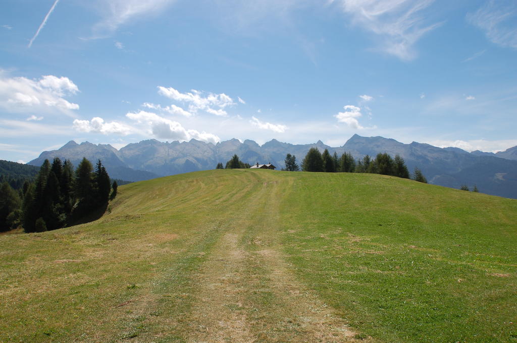 Cimon Dolomites Hotel Predazzo Luaran gambar