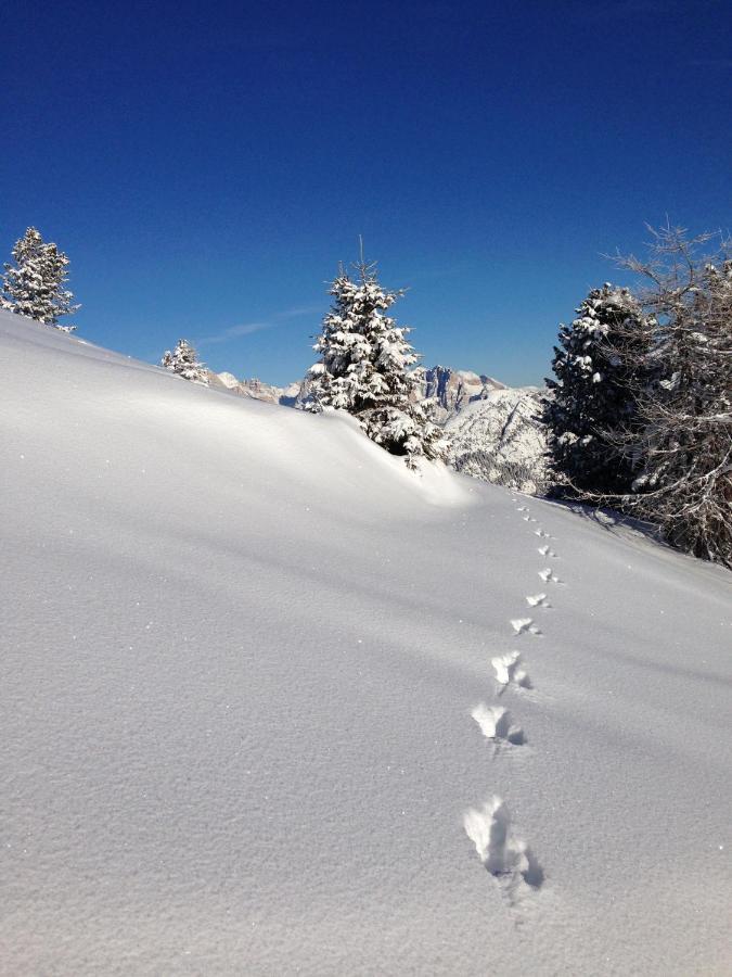 Cimon Dolomites Hotel Predazzo Luaran gambar
